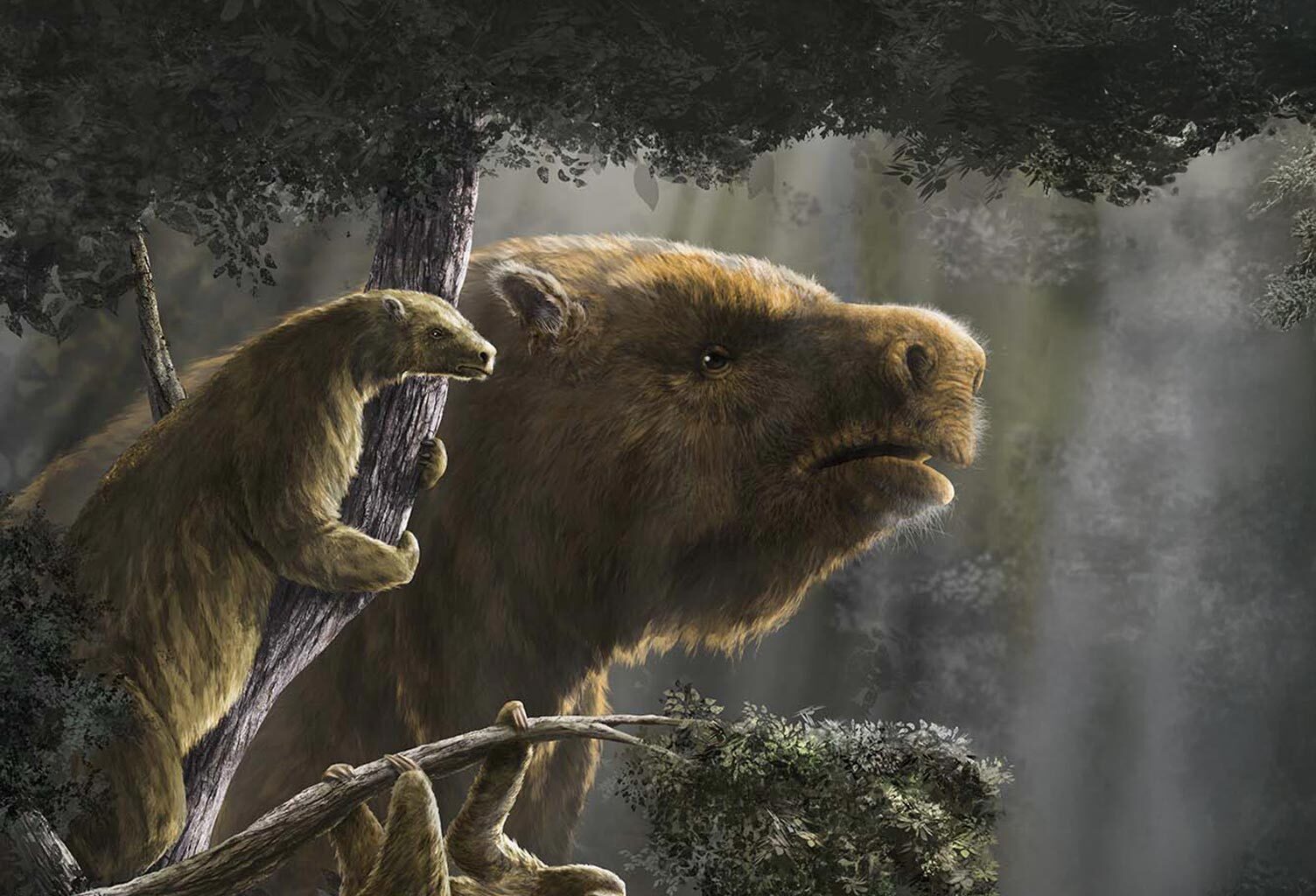 Ancient Sloths