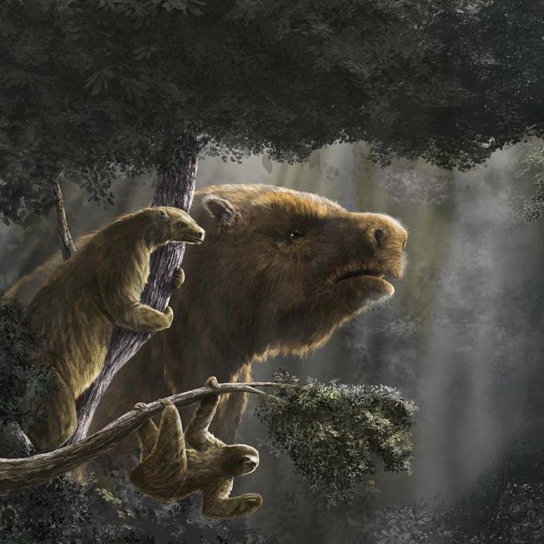 Ancient Sloths