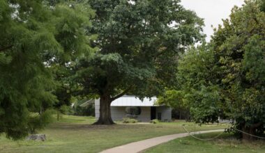 ArtPlay Pavilion by Carmody Groarke at Dulwich Picture Gallery