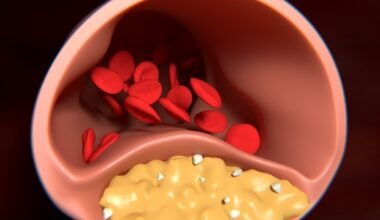 Heparanase 2 emerges as key protector of blood vessel integrity
