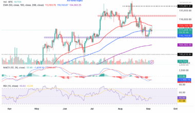 Two AI tokens with potential to rally as Bitcoin leans into September rate cut