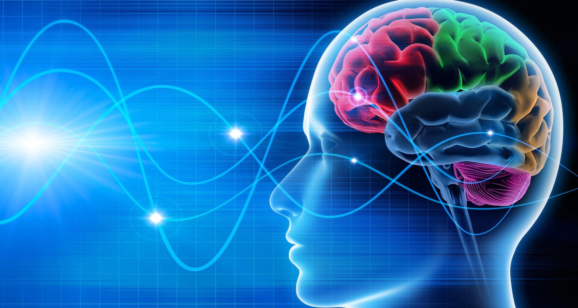 Brain Wave Activity EEG Signals