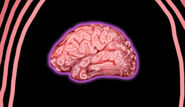 Your Mother's Germs May Have Influenced Your Brain's Development : ScienceAlert