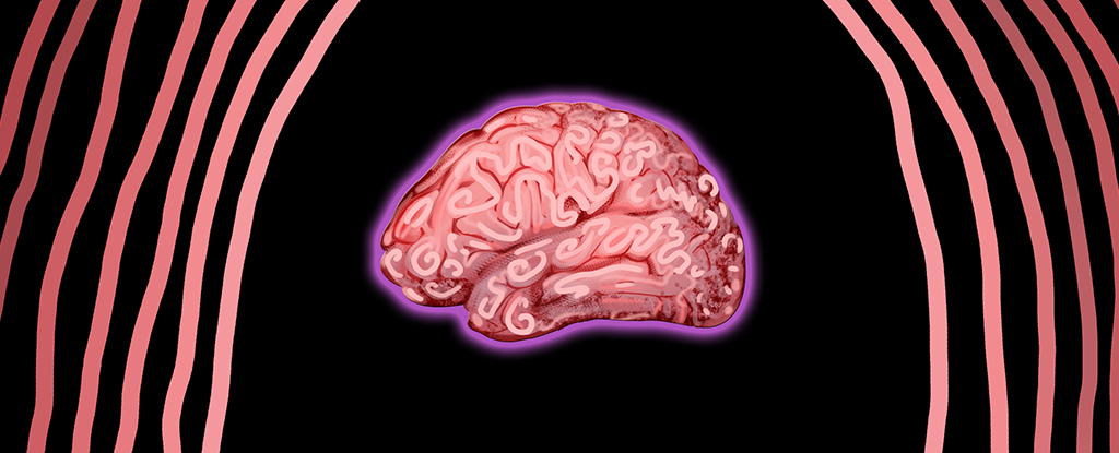 Your Mother's Germs May Have Influenced Your Brain's Development : ScienceAlert
