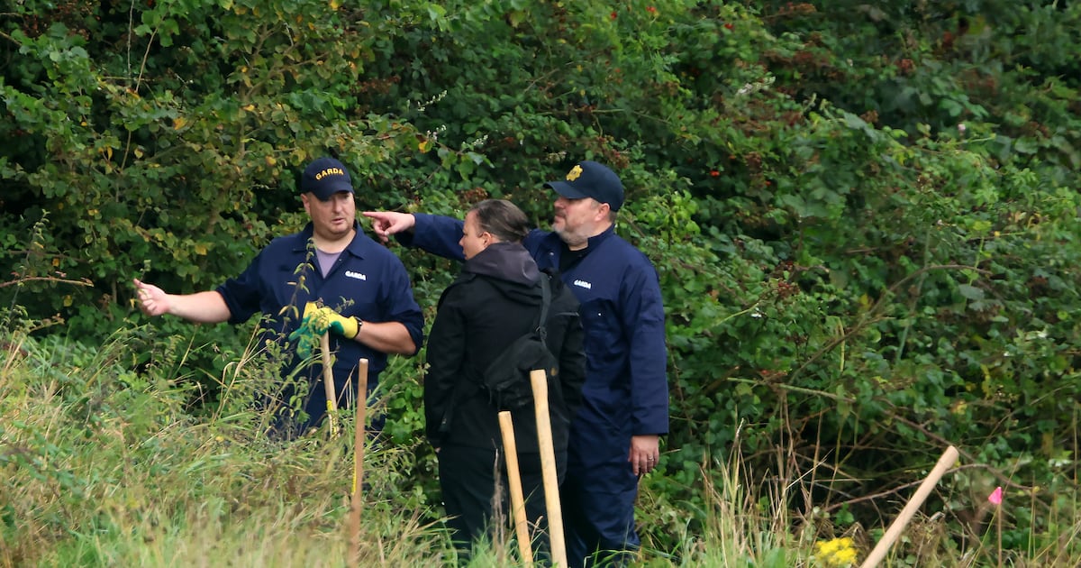 Gardaí to ask Brazil for help in speaking to father of missing child – The Irish Times