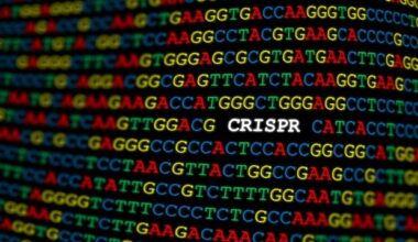 New screening method boosts efficiency and accuracy of CAST genome editing