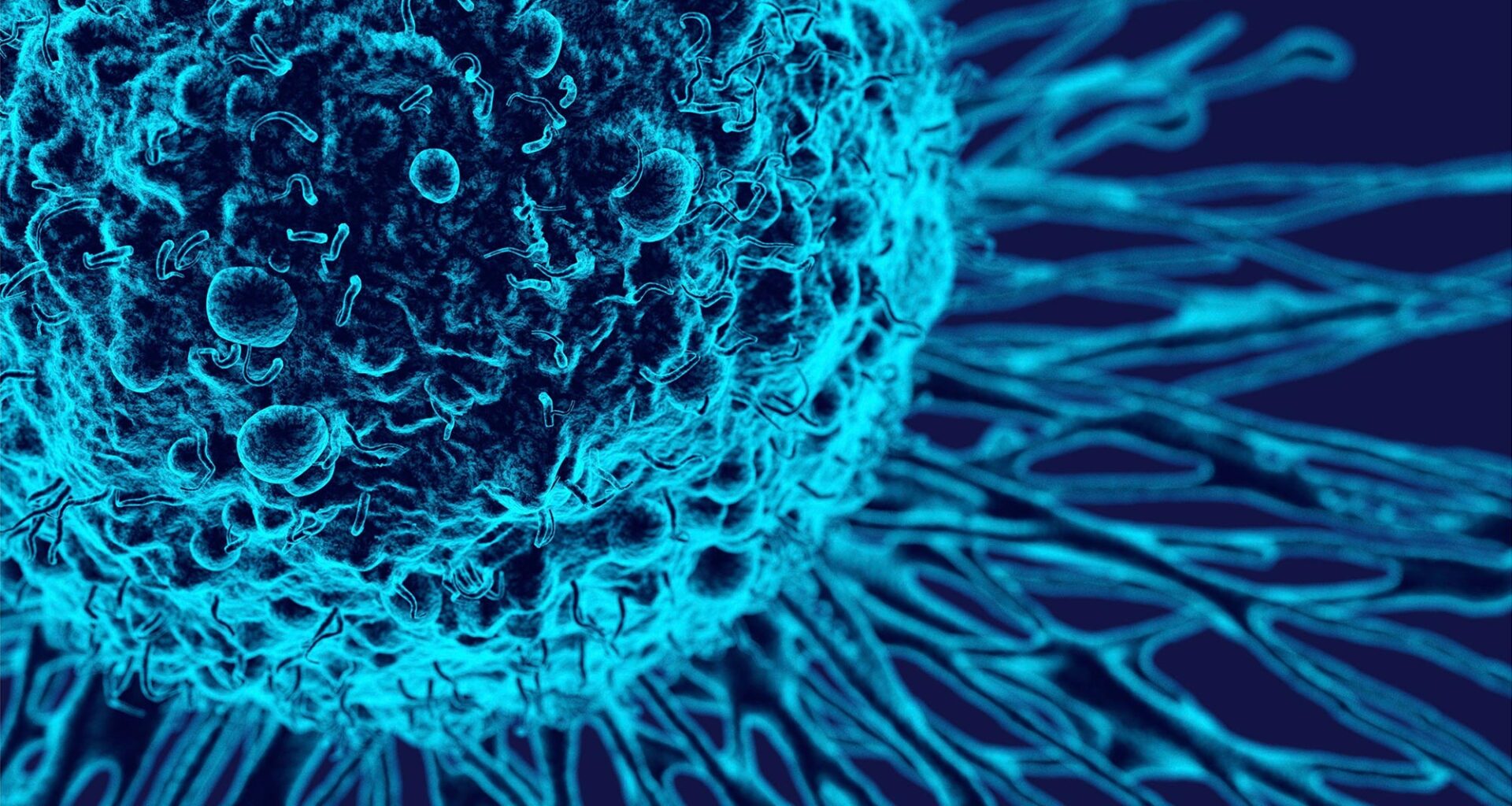 Cancer Cell Biology Illustration
