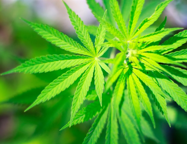 Binge drinking mixed with cannabis tied to greater negative consequences