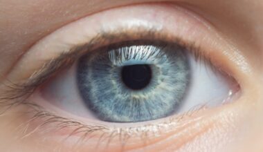 New 3D eye model reveals causes of steroid-related glaucoma