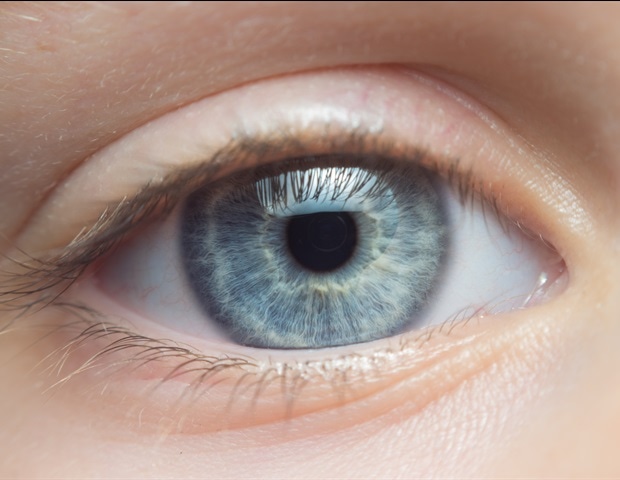 New 3D eye model reveals causes of steroid-related glaucoma