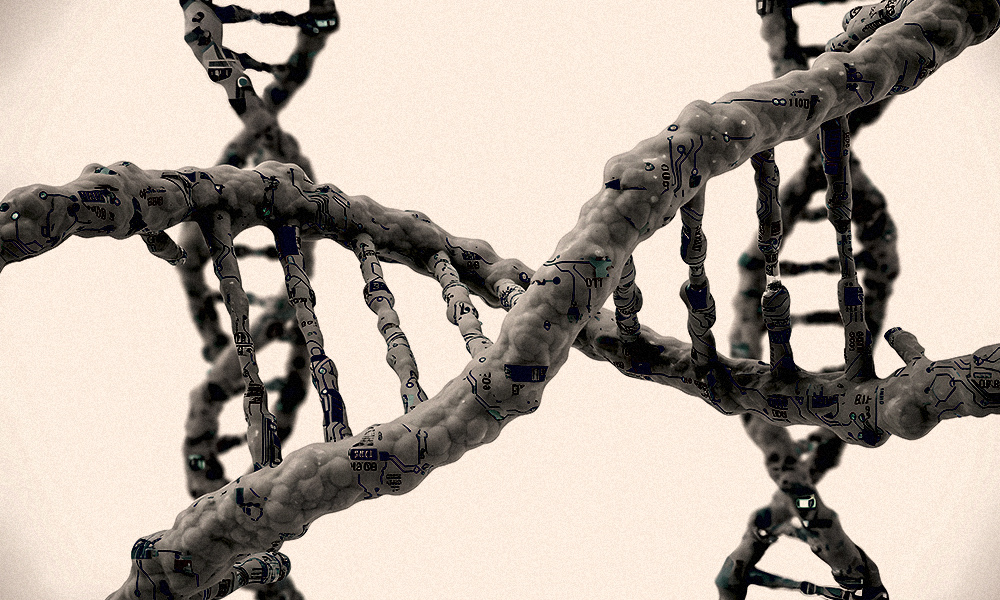 Is Life a Form of Computation?