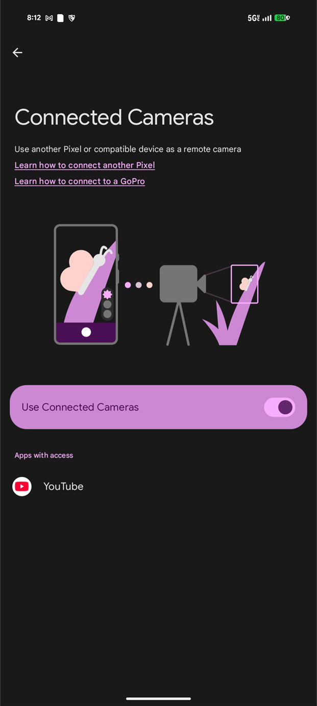 Connected Cameras in Settings of Pixel 8 Pro Reddit