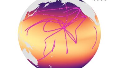 Cruise Tracks Overlaying Temperature