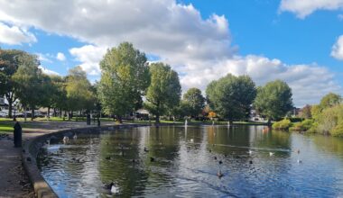 Public warning after bird flu outbreak kills wild fowl at popular Cork spot – The Irish Times