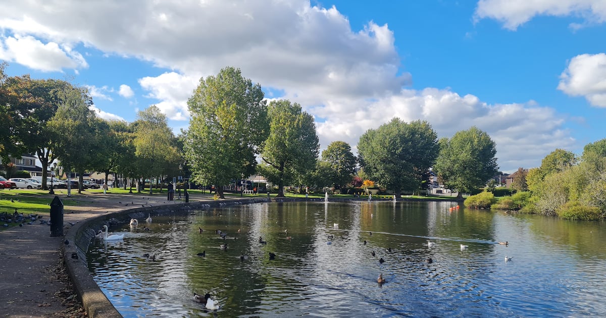 Public warning after bird flu outbreak kills wild fowl at popular Cork spot – The Irish Times
