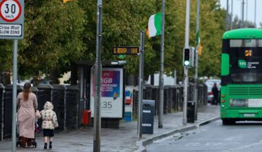 Gardaí and officials meet over unauthorised tricolour flags in Dublin – The Irish Times