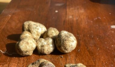 Did I find truffles in my garden while digging for spuds? – The Irish Times