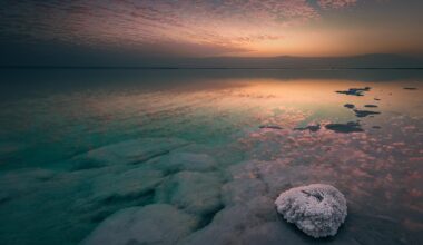 Dead Sea Salt Giant