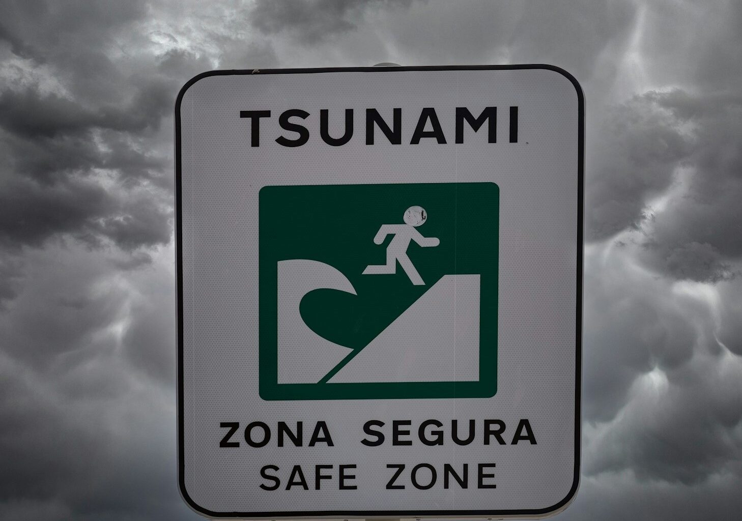 NASA's GUARDIAN detects tsunami about 40 minutes beofore it hit, passing test