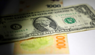 Government shifts gears, will now intervene in the exchange market