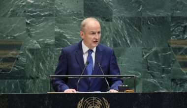 Ireland to impose travel bans on extremist Israeli ministers, UN told – The Irish Times
