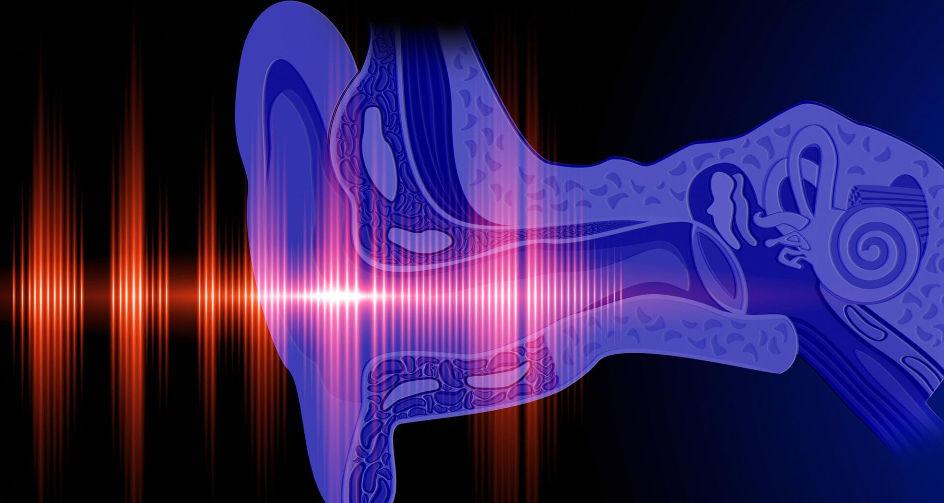 Ear Hearing Concept