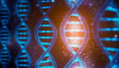 Why ‘Great Genes’ Matter for the American Economy | American Enterprise Institute