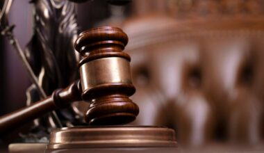 Farmer led officials on ‘wild-goose chase’ after moving cattle, court hears – The Irish Times