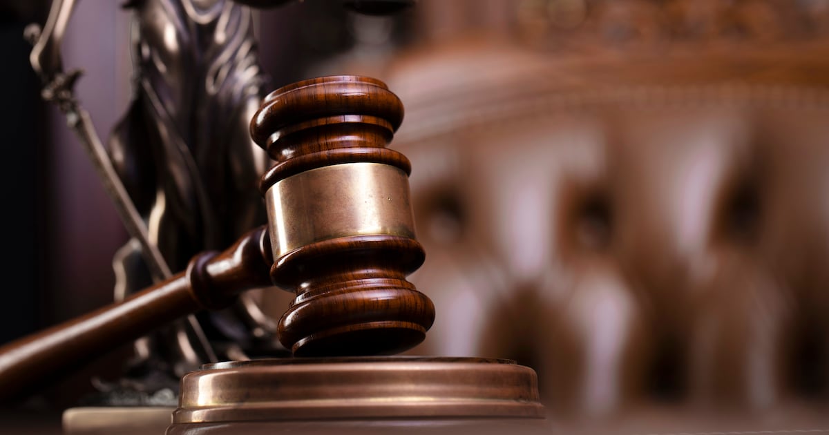 Farmer led officials on ‘wild-goose chase’ after moving cattle, court hears – The Irish Times
