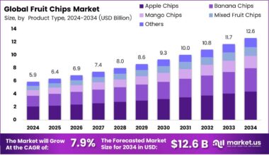 Fruit Chips Market Size, Share