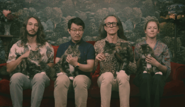 This metaphorical cat is both dead and alive – and it will help quantum engineers detect computing errors