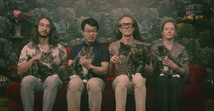 This metaphorical cat is both dead and alive – and it will help quantum engineers detect computing errors