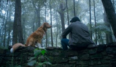 The New 'Good Boy' Trailer Puts the Dog in Dog Horror