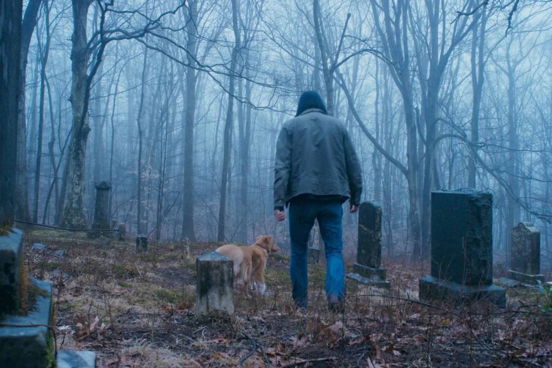 Good Boy Graveyard
