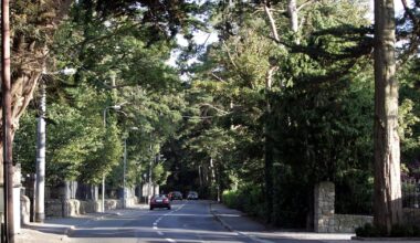 Foxrock decision shows Nimbys are not the only problem when building housing – The Irish Times