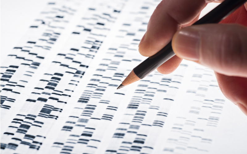 Understanding Genetic Cancer Risk and Testing
