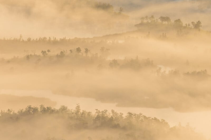 A landscape of trees and water is covered in thick, golden fog, creating a soft, dreamy atmosphere with diffused light and blurred outlines of vegetation.