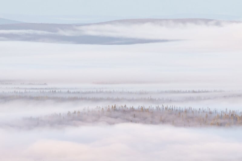 A misty landscape with soft, rolling hills and forests partially covered in fog. Layers of trees and land fade into the distance, creating a serene and dreamy atmosphere with muted pastel colors.