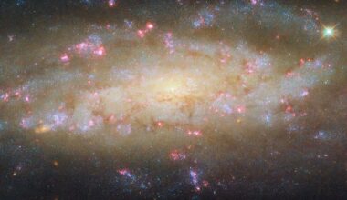 A spiral galaxy. It shines brightly at its center, and most of its disk also glows in warm colors. Its two spiral arms, which wind outward from the center, are made up mostly of large patches of bright blue specks. They also contain thin, reddish clouds of dust, and bright pink bubbles of glowing gas, where stars are forming. Distant galaxies are visible around the galaxy as small orange spots, on a dark background.