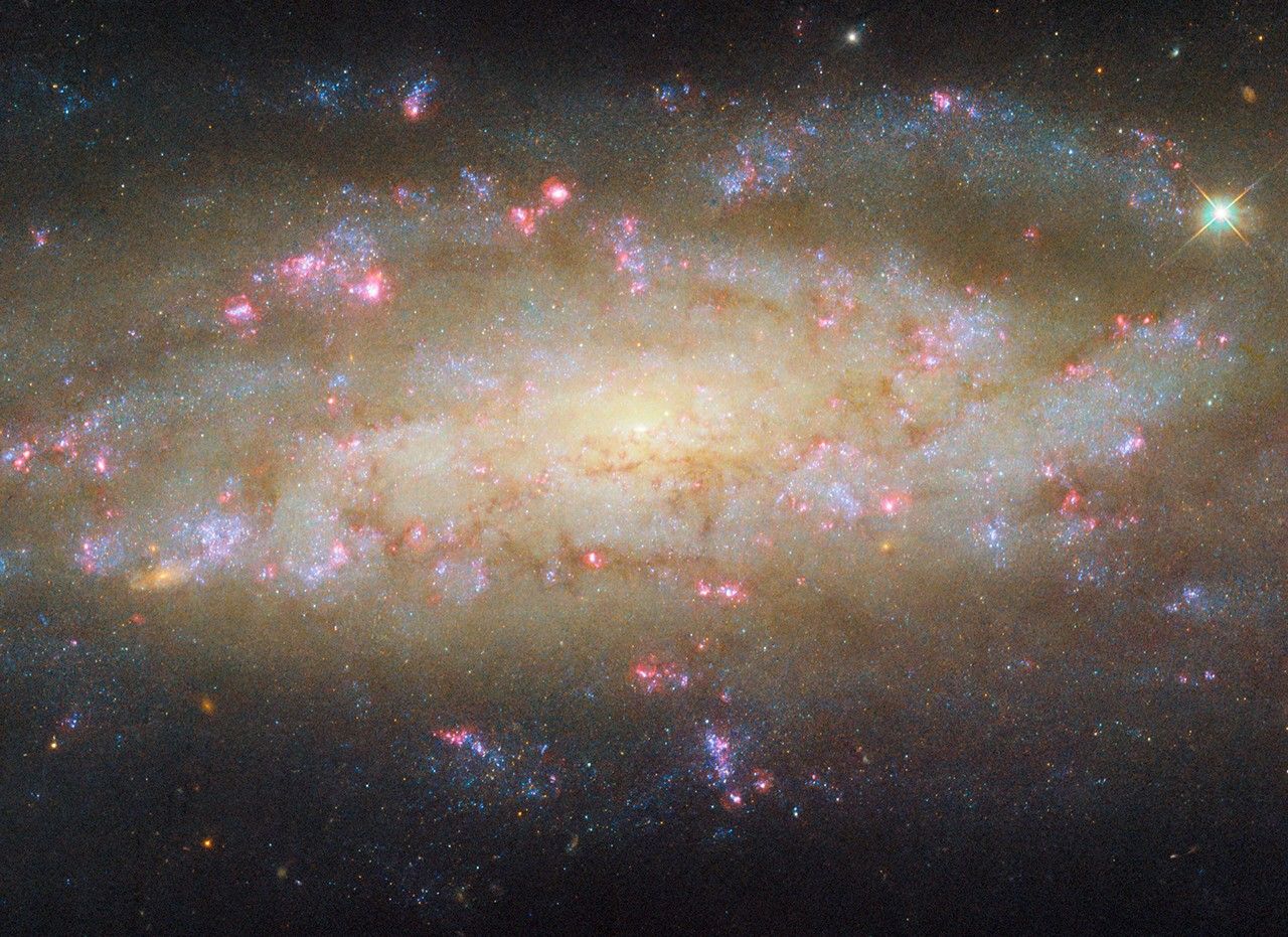 A spiral galaxy. It shines brightly at its center, and most of its disk also glows in warm colors. Its two spiral arms, which wind outward from the center, are made up mostly of large patches of bright blue specks. They also contain thin, reddish clouds of dust, and bright pink bubbles of glowing gas, where stars are forming. Distant galaxies are visible around the galaxy as small orange spots, on a dark background.