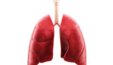 Inflammatory cells drive lung underdevelopment in congenital diaphragmatic hernia