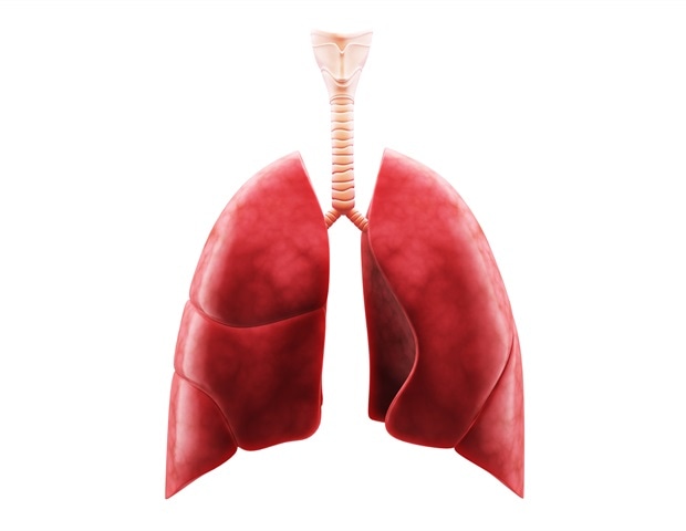 Inflammatory cells drive lung underdevelopment in congenital diaphragmatic hernia