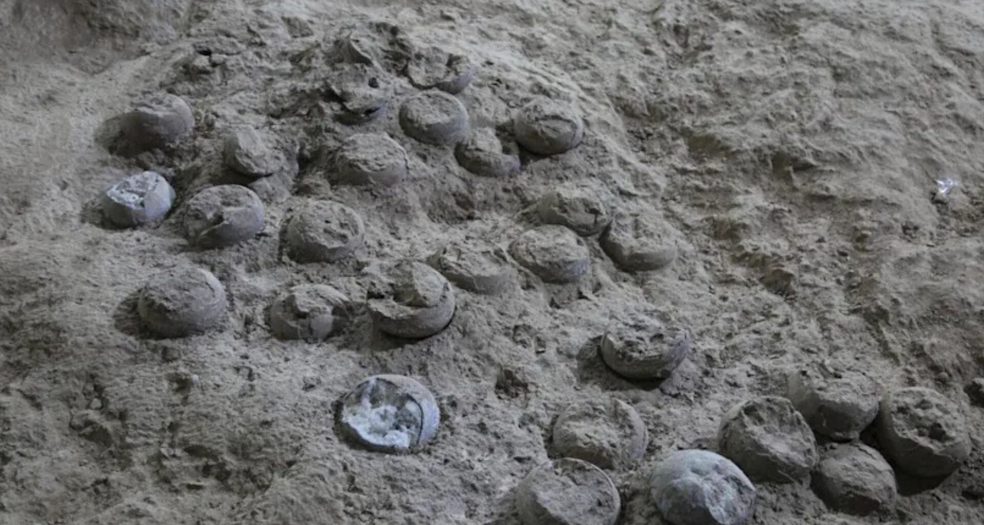 Lead-cooled nuclear reactors promise safe, reliable energy for merchant vessels 