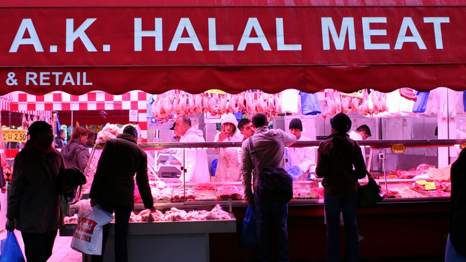 TD: Ireland’s halal meat industry ‘a law unto itself’