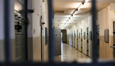 2024: One third sent to prison born outside Irish state 