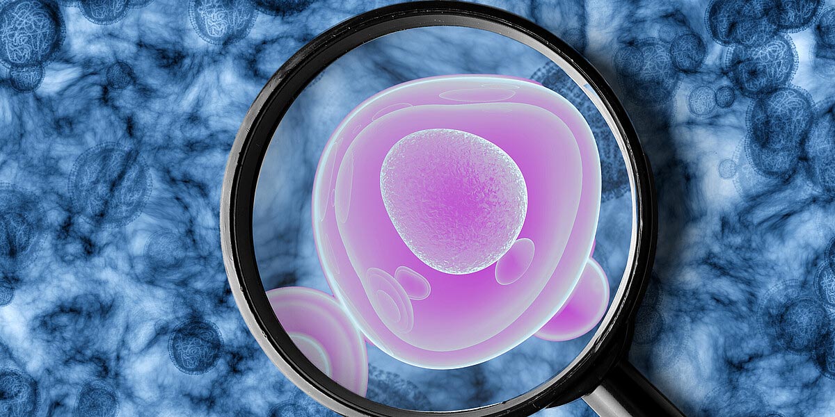 Illustration of a Uterine Cancer Cell