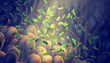 One Fecal Transplant May Lower Diabetes And Heart Disease Risk For 4 Years : ScienceAlert
