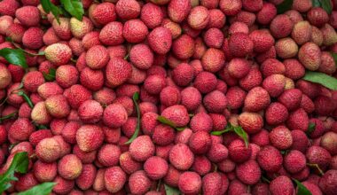 Antioxidant, Neuroprotective, and Anti-Cancer Insights