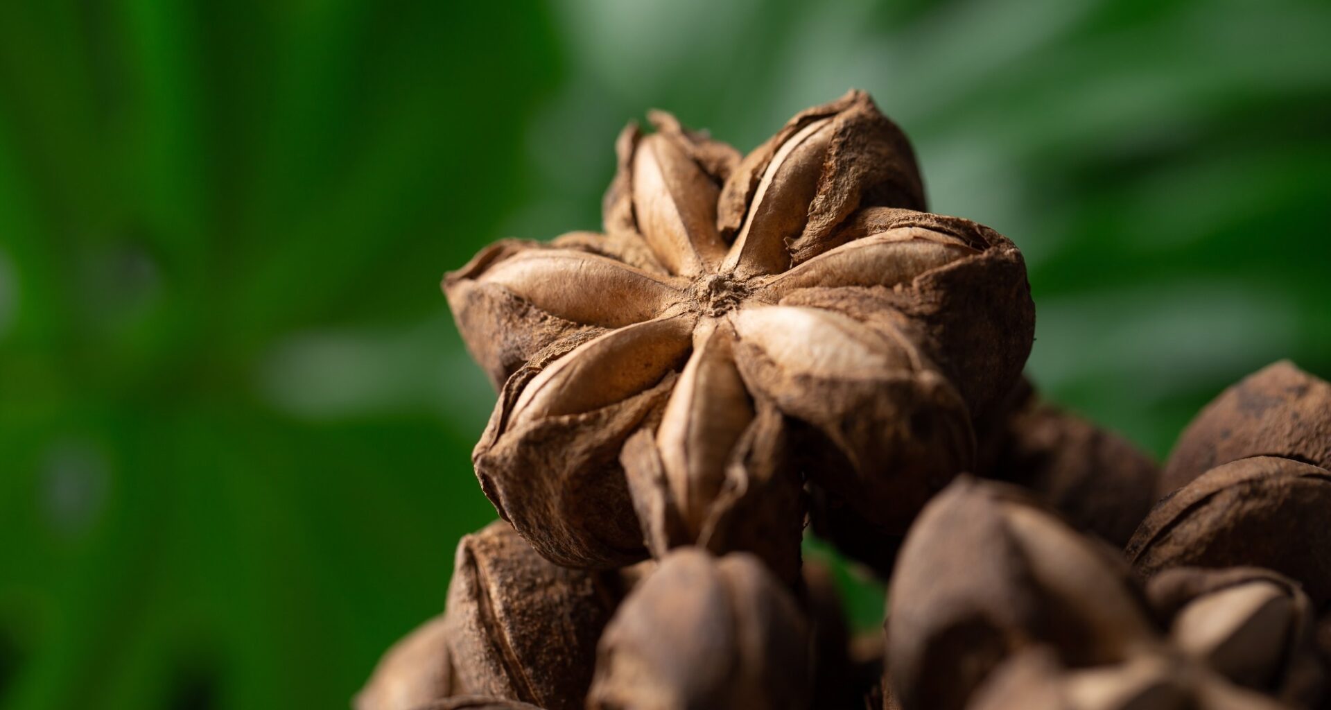 An Omega-3 Superfood for Cholesterol and Blood Sugar