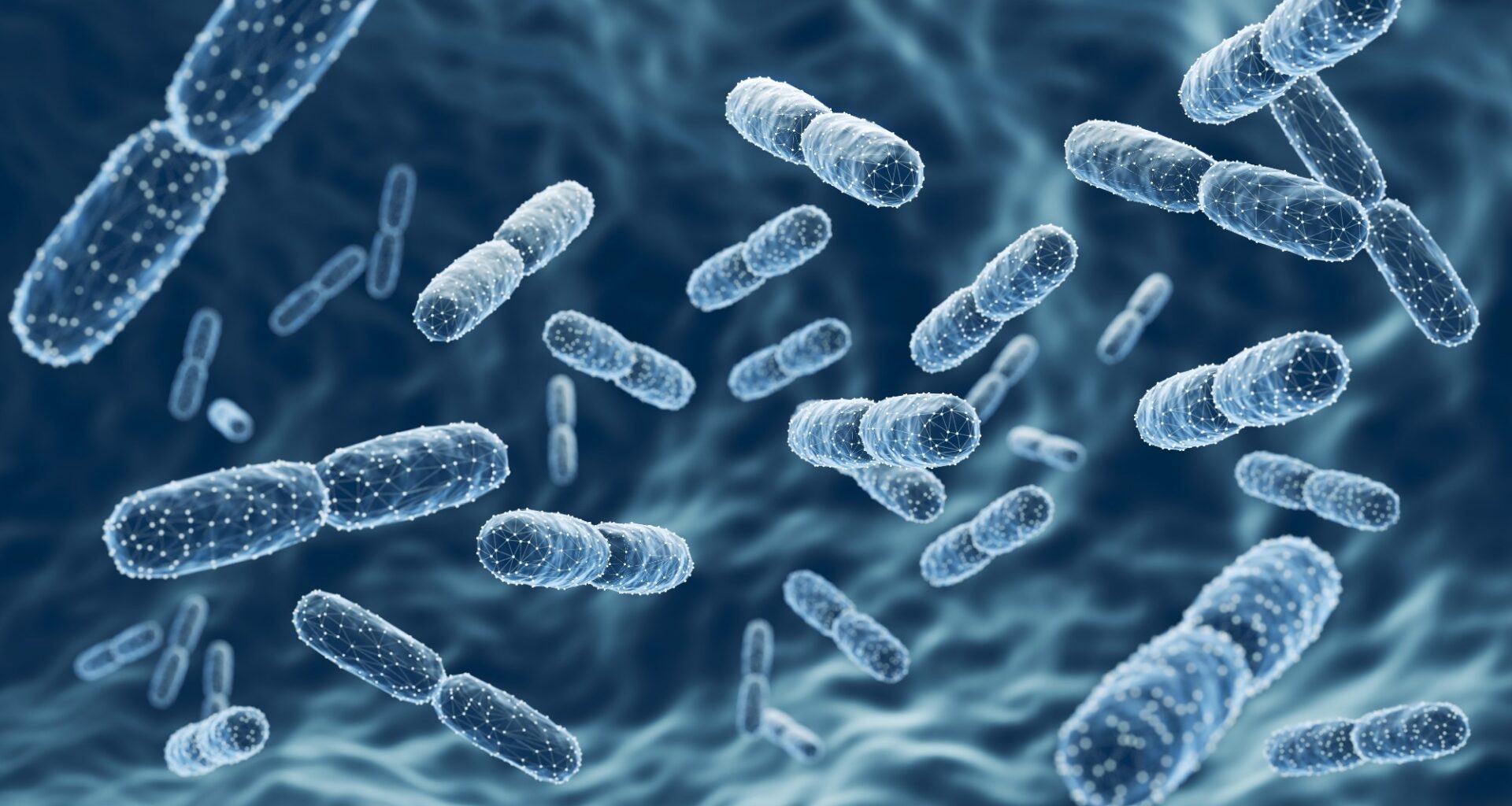 How Gut and Semen Bacteria Affect Sperm Health